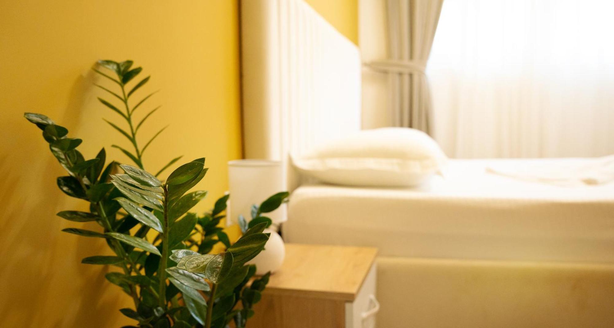 Hotel Luris 골렘 외부 사진
